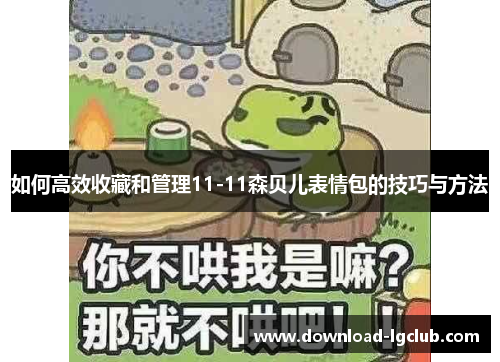 如何高效收藏和管理11-11森贝儿表情包的技巧与方法 如何高效收藏和管理11-11森贝儿表情包的技巧与方法