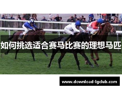 如何挑选适合赛马比赛的理想马匹 如何挑选适合赛马比赛的理想马匹