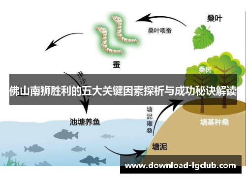 佛山南狮胜利的五大关键因素探析与成功秘诀解读 佛山南狮胜利的五大关键因素探析与成功秘诀解读