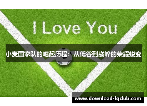 小麦国家队的崛起历程：从低谷到巅峰的荣耀蜕变