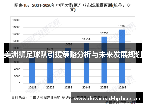 美洲狮足球队引援策略分析与未来发展规划