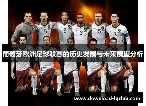 葡萄牙欧洲足球联赛的历史发展与未来展望分析