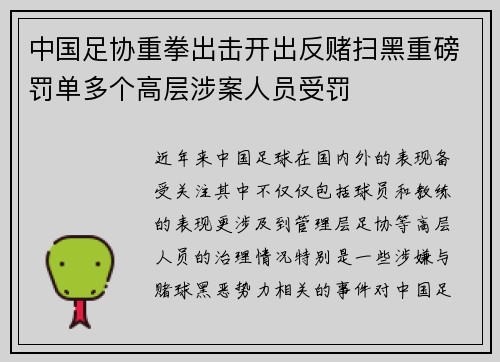中国足协重拳出击开出反赌扫黑重磅罚单多个高层涉案人员受罚 中国足协重拳出击开出反赌扫黑重磅罚单多个高层涉案人员受罚